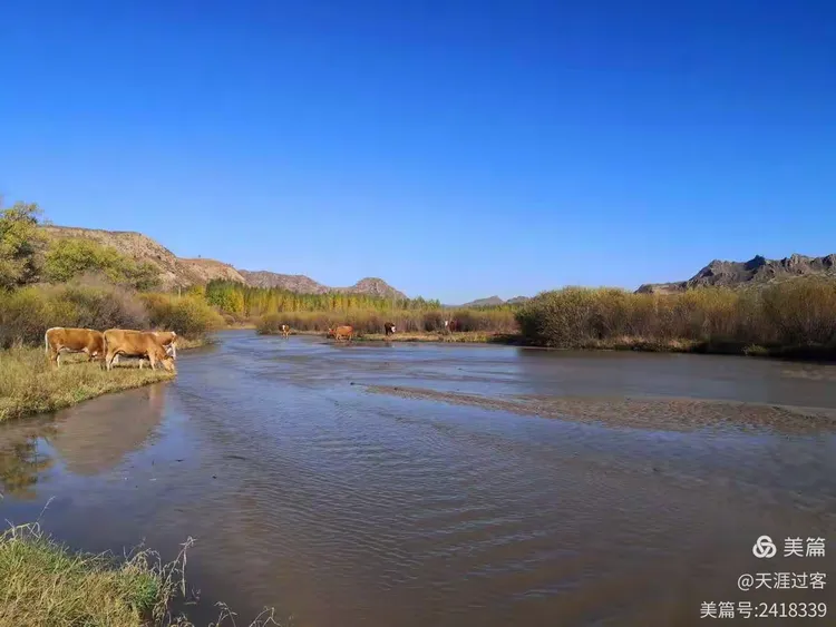 克什克腾旗西拉沐沦河谷风光
